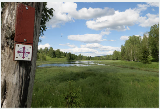 Credits: Unsplash.com